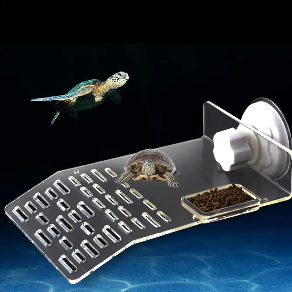 منصة استلقاء وصعود للسلاحف على - مراجعة Aquarium Xl وسعره