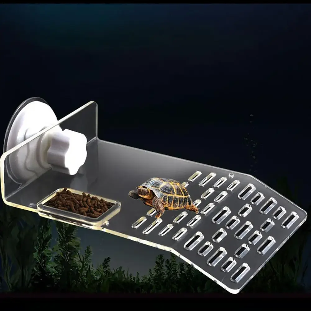 منصة استلقاء وصعود للسلاحف على - مراجعة Aquarium Xl وسعره