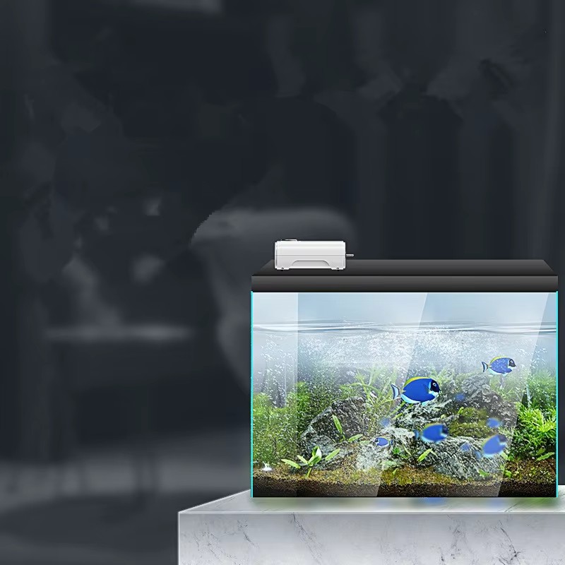 220 فولت/110 فولت 3 واط/8 واط/ - مراجعة Aquarium Xl وسعره